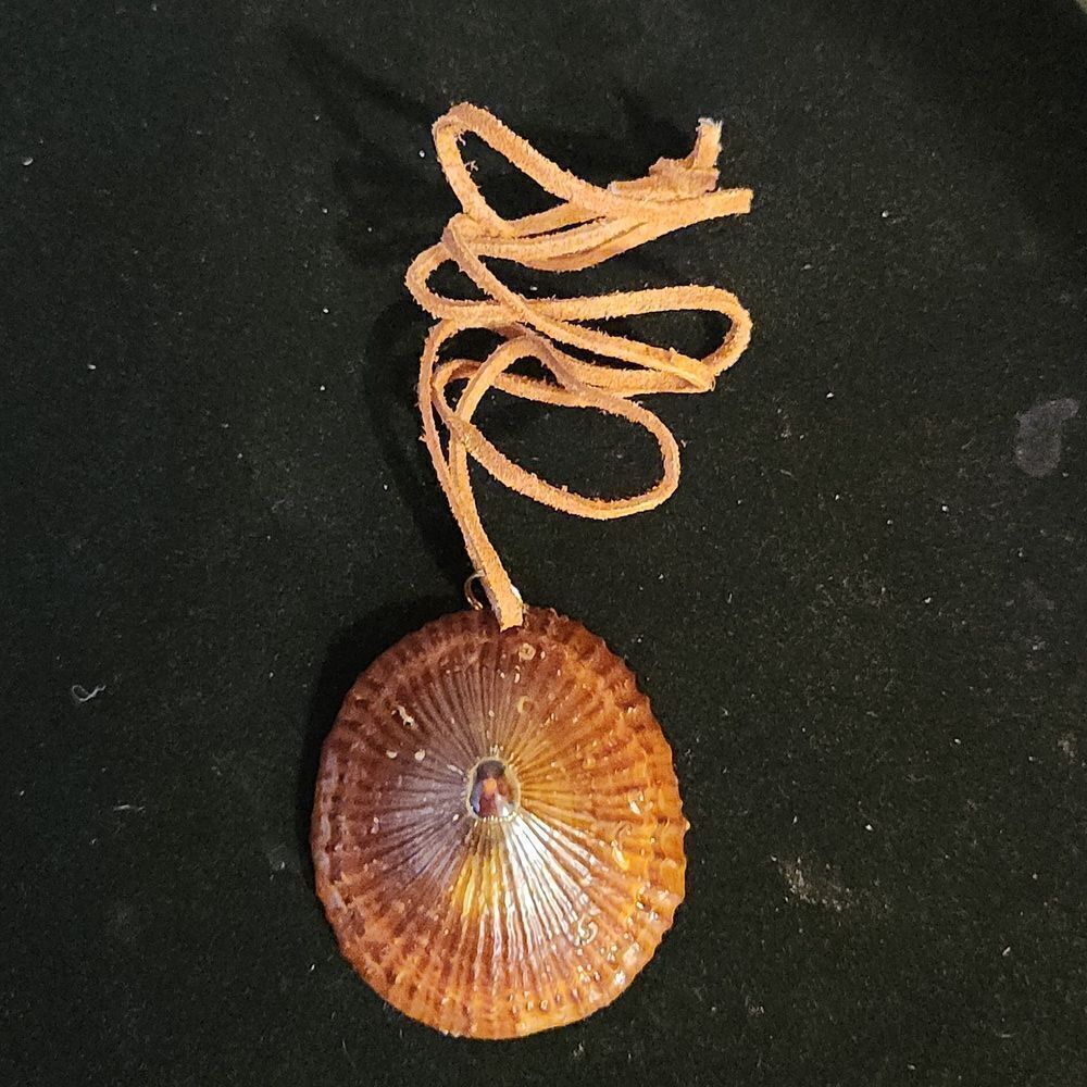 Vintage Opihi Shell Necklace